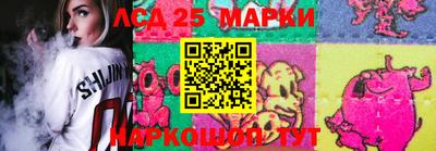 гидропоника Кузнецк