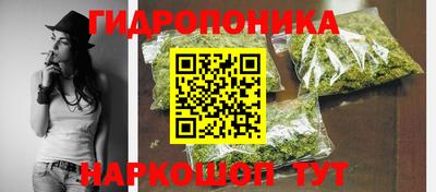 индика Азнакаево